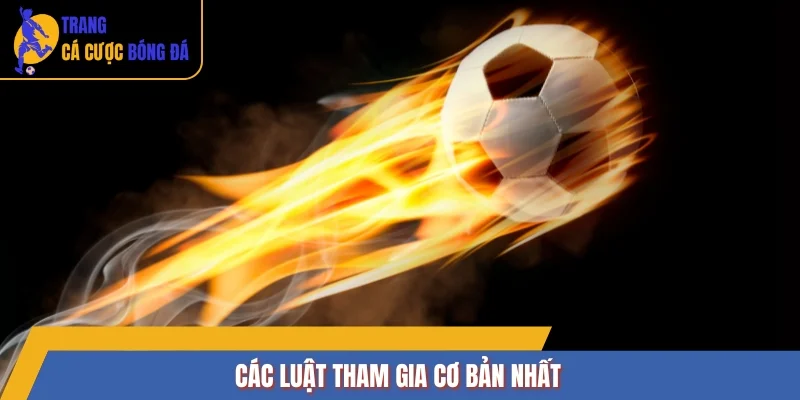 Các luật tham gia cơ bản nhất
