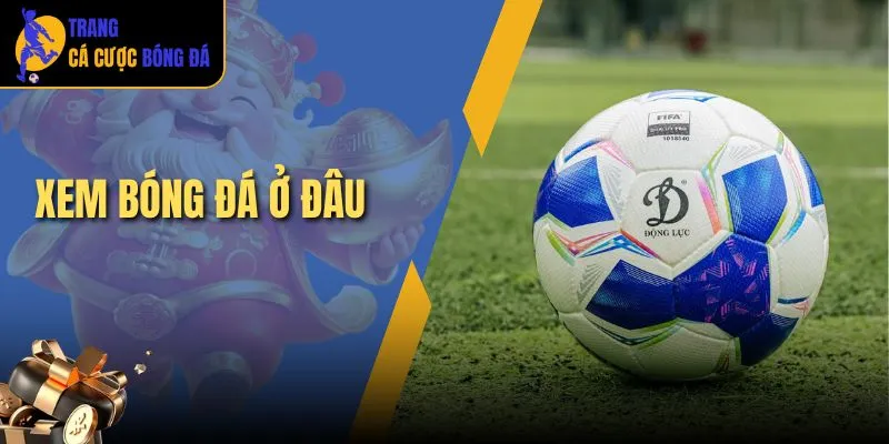 xem bóng đá ở đâu